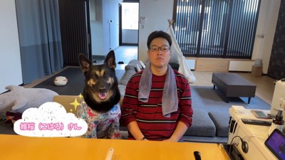 ジャーマンシェパードの維桜さん