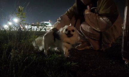 「ちゃんと見つけたよ!」