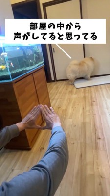 隣の部屋のドアの前に立つ犬