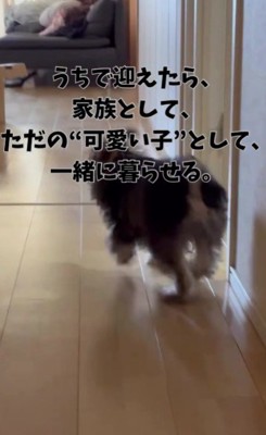 初めは怖がっていたけど…