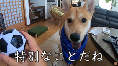 特別なことじゃないけど…