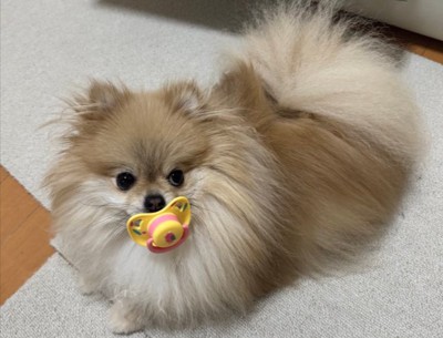 あざとすぎる…