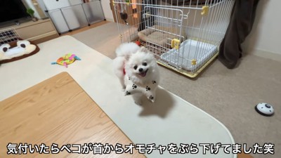 おもちゃをぶら下げるペコちゃん7