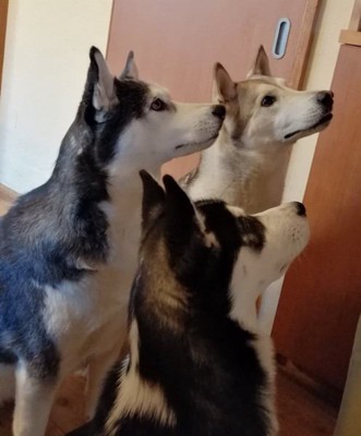 仲良く並んでオヤツ待ち♪