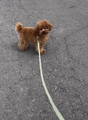 じっと目を瞑ってる…
