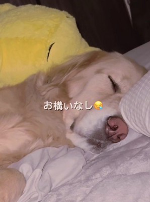 動じない姿に感嘆