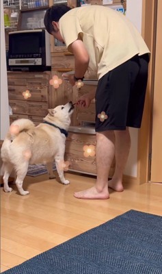 何かをお願いしに来たごん太くん9