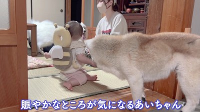 仲間に入れてほしい!