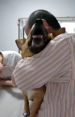 泣き叫ぶわんこ