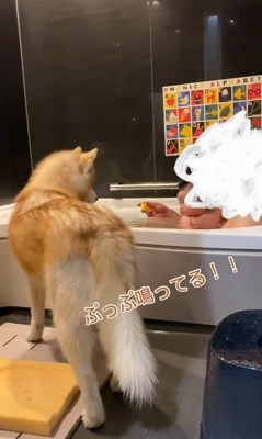 お風呂で遊ぶ赤ちゃんと茶々丸くん2