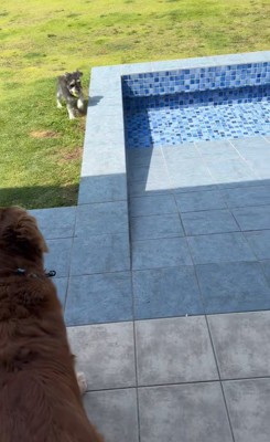 ボール遊び中のハプニング2