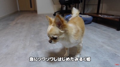お風呂にお湯を溜め始めたら…