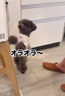 ウォーターサーバーに怒るアイナちゃん