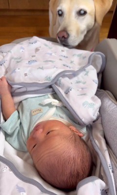 愛情深いベルちゃんでした