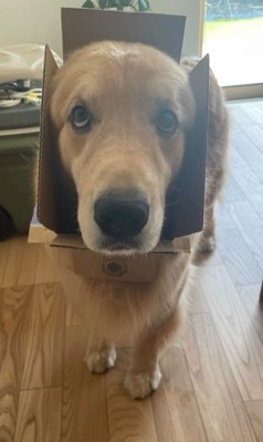 かーる君の成長記録8