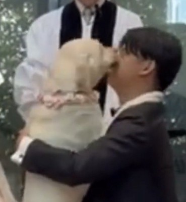 新郎の顔をなめる犬