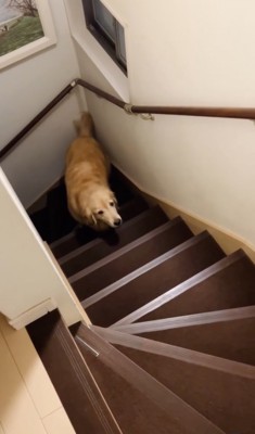 「こないなぁ」