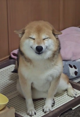 笑顔で迎えてくれました♪