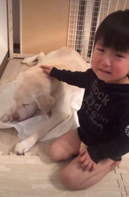泣く男の子