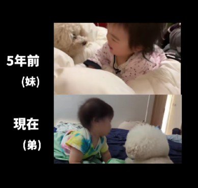 面倒見のいいぷぷちゃん