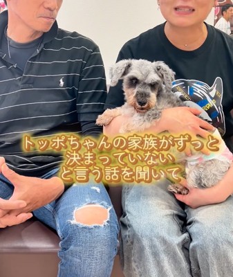 抱っこされる犬