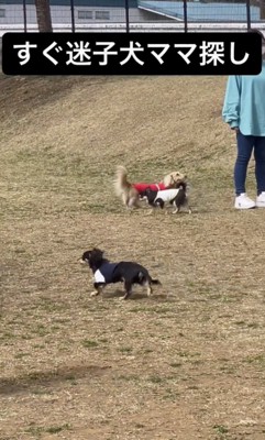 ちゃんと顔を確認中