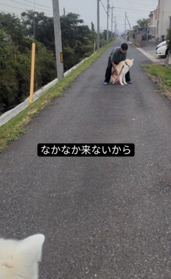 なかなかこない犬と男の子