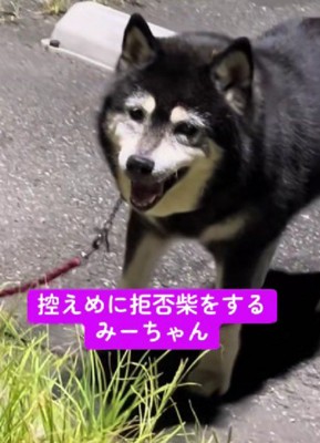 ニコニコ笑顔のまま…♡