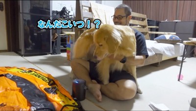 男性の膝の上に乗る犬