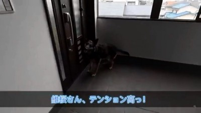 テンションが高い維桜さん