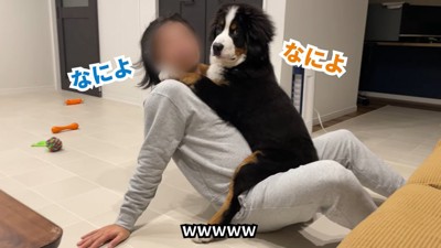 男性に乗る犬