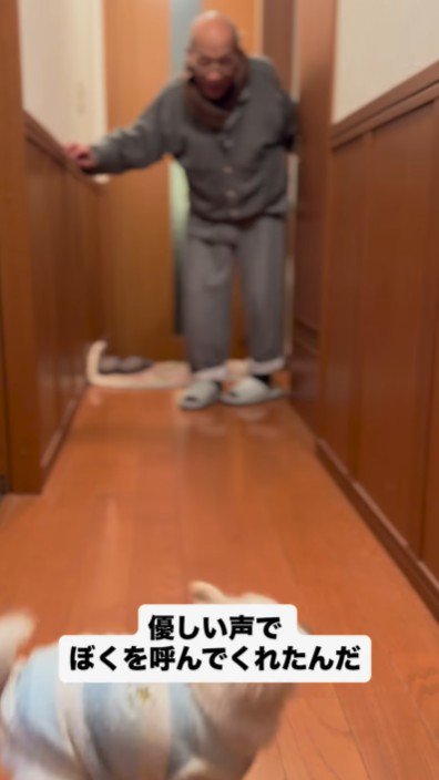 95歳のおじいちゃん