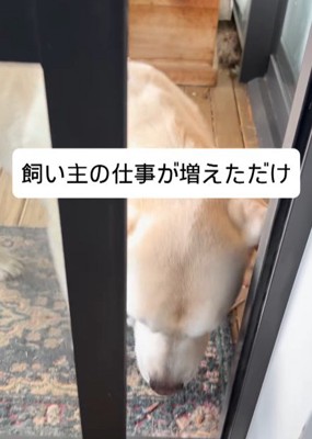 開けてもらえばいい♪