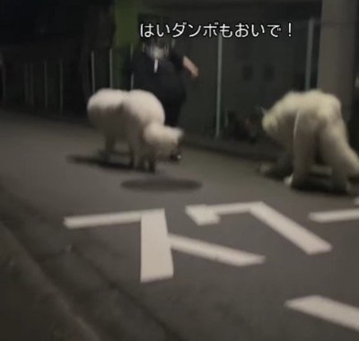 颯爽と歩き出すも…