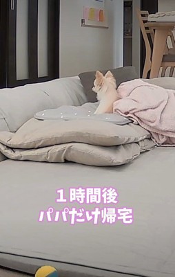 「ふたりとも帰ってきた!」
