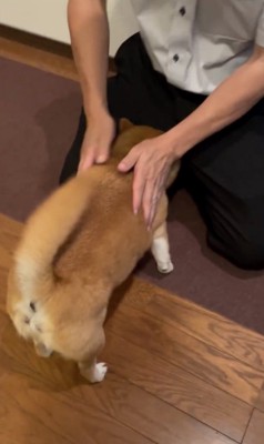 終わらない大歓迎