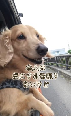 さらお君を病院に連れて行ったら5