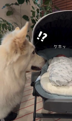 赤ちゃんが泣いた時のワンダくん8