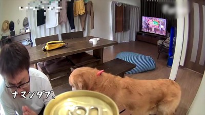 ベンツくんの健康を祈るパパ