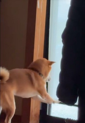 リクくんにハプニング発生5