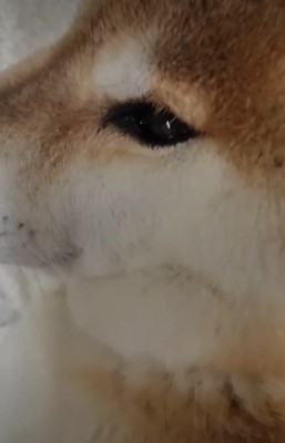 ぴったり添い寝してた
