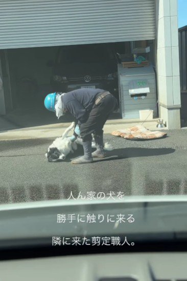 剪定職人のおじさんがやってきた