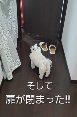 扉は閉じられた!!