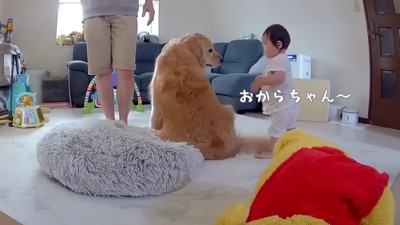 いつでもおからちゃんのそばにいる