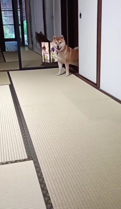 「僕がレオだよ!」