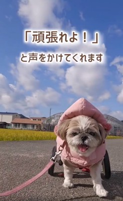 声を掛けられるようになったコロンちゃん
