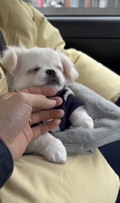 これがお迎え2分後なんて