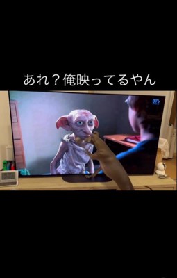 ドビーに反応するコロンくん3