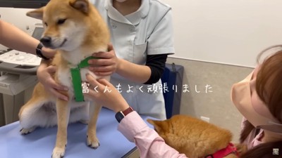 よく頑張ったね