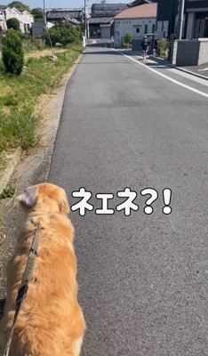 前方からお姉ちゃんがやってきた！